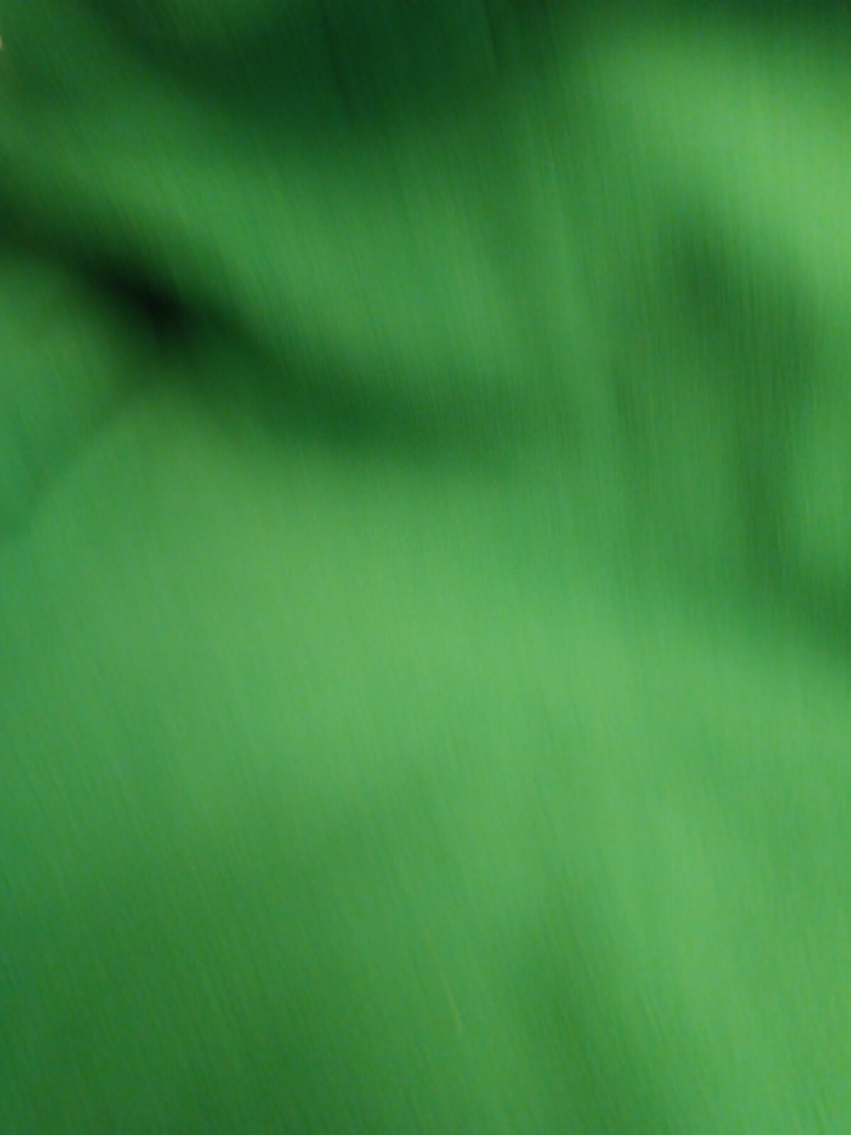 Picture 9 of 9