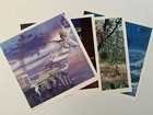 Foto 8 di 8