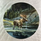 THE MOOSE Plate Wild and Free: Canada's Big Game Artist Paul Krapf #2 Pine Trees