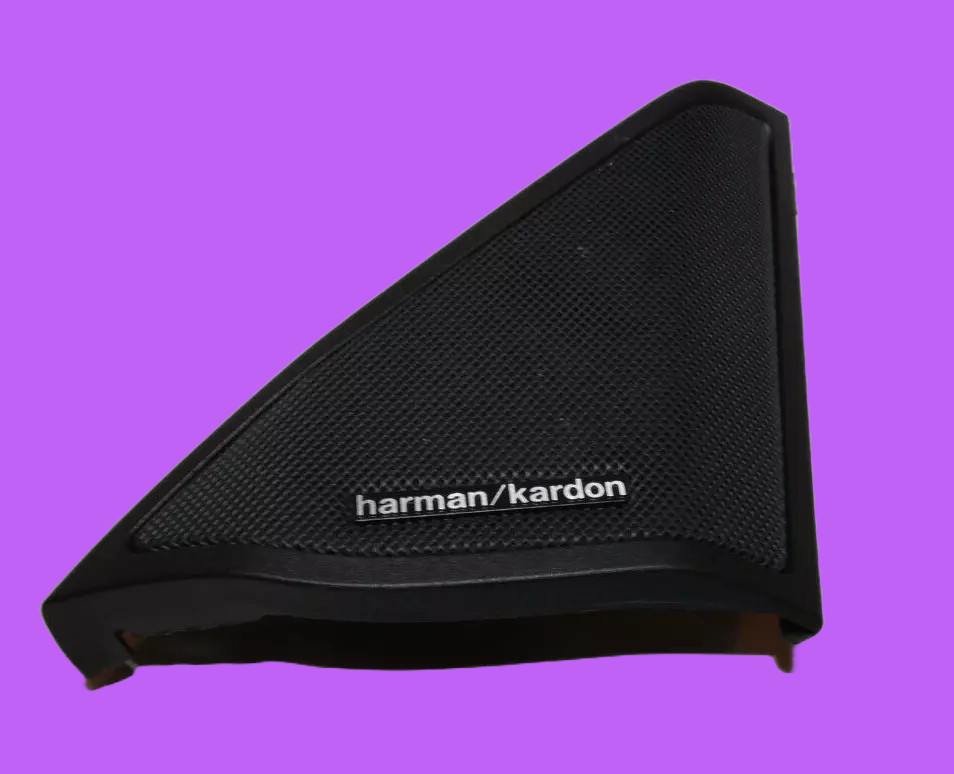 2011-2016 Mercedes-Benz E350 Harman/Kardon Front Right Door Audio Trim OEM W212