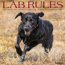 Willow Creek Press Calendars, Lab Rules 2025 Wall Calendar