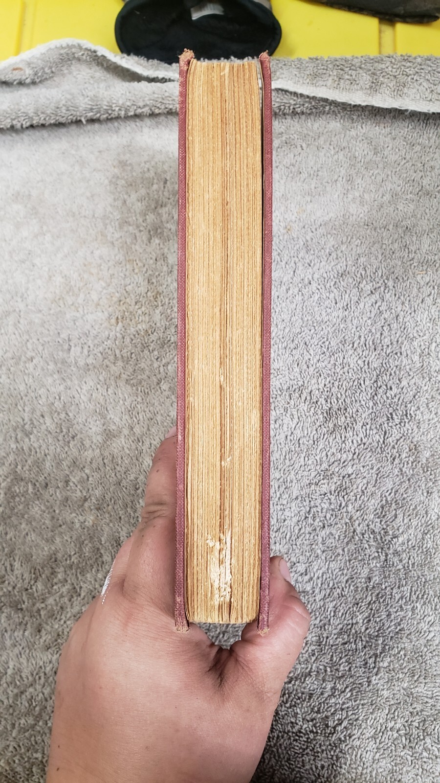 Vintage A TREE GROWS IN BROOKLYN by Betty Smith Harpers and Bros 1943