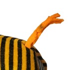 Bild 7 von 8