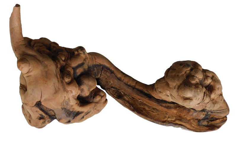 MANZANITA  BURLED WOOD DISPLAY PIECE NATURAL MOUNT LOG-CRAFTING, TAXIDERMY