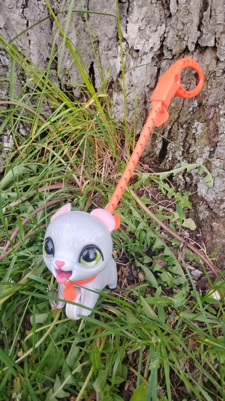 Hasbro 2019 FurReal Friends PoopsALot CAT Toy