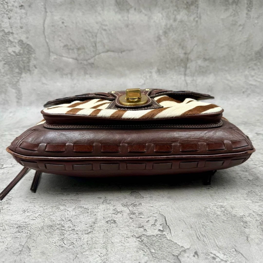 RARA BORSA A TRACOLLA COACH Y2K LEGACY RIGHE ZEBRATE CAPELLI DI VITELLO BORSA 10366