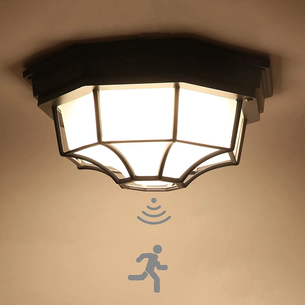C Cattleya LED Motion Sensor Ceiling Light Fixture Outdoor Flush Mount Dusk to D