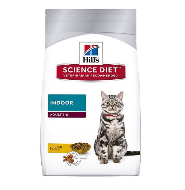 hills indoor cat
