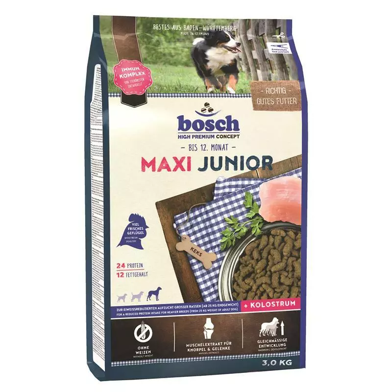 Maxi junior 2025