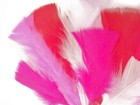 Bild 8 von 12
