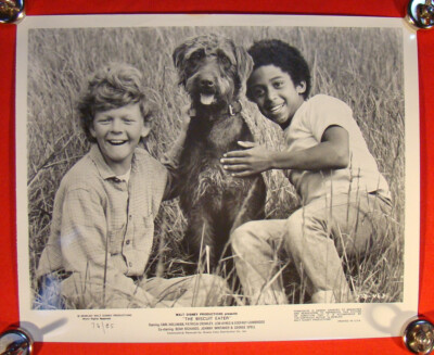 DISNEYS THE BISCUIT EATER - STARRING EARL HOLLMAN & JOHNNY WHITAKER 7 B&W PHOTOS