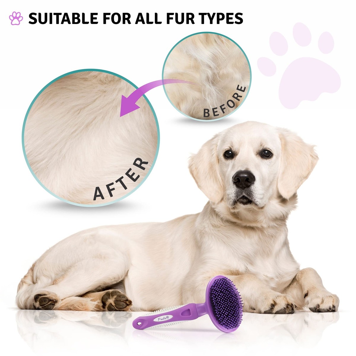 Round Bristle Pet Brush for Dogs and Cats Soft Dog Brush for