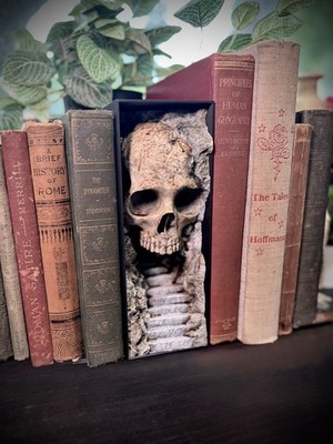 {Unpainted} Skull Cave Book Nook - Stairs Ascending into the Lair of the Dead
