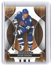 Peter Stastny 2024-25 Upper Deck Engrained Icons