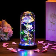 Forever Light up Rose in Glass Dome, Enchanted Rose with LED Lamp, Colorful