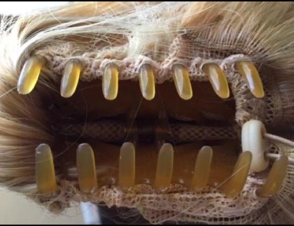 Forever Young PELO DE ÁNGEL COLA DE CABALLO clip en Foto 3 de 4