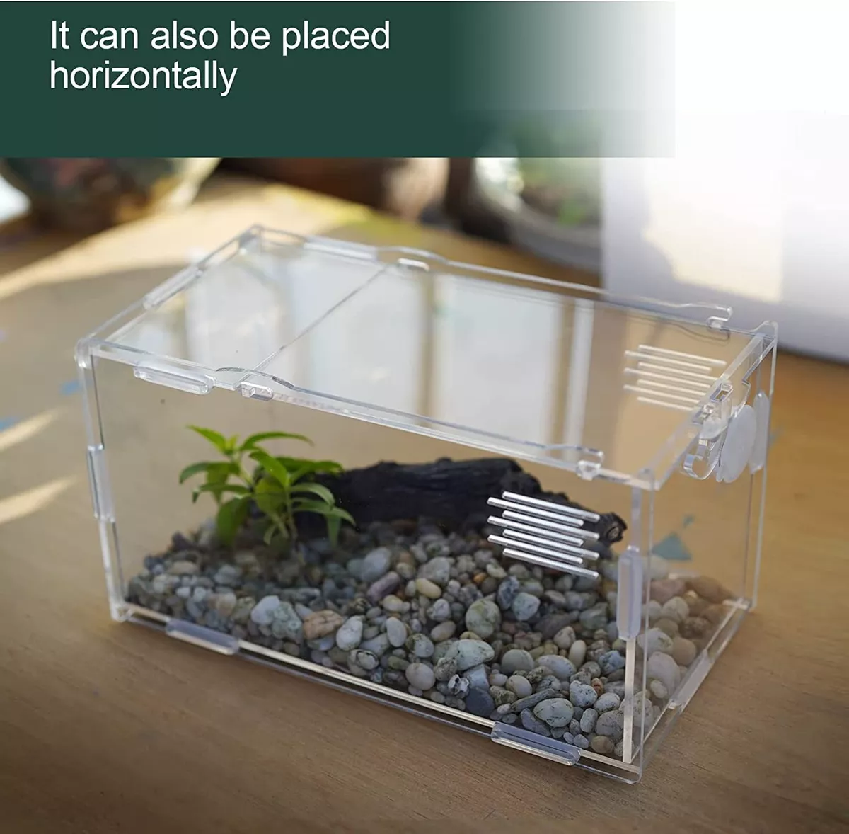 Acrylic Mini Reptile Tank Habitat Transparent Terrarium 8