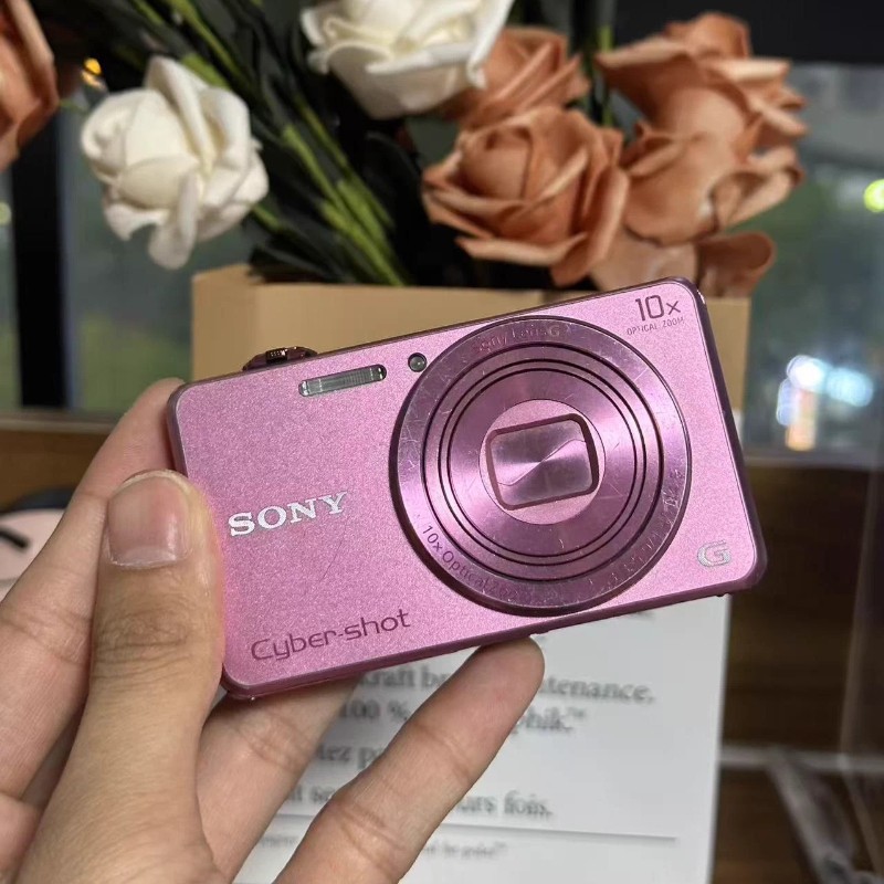 Sony Cyber-Shot DSC-WX220 DigitalCamera 18.2MP 10XOptical Zoom