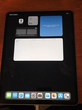 iPad Pro 3rd 256GB 12.9  Wi-Fi Bad Port? 