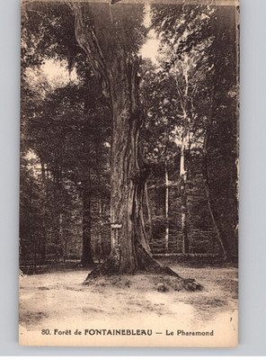Foret de Fontainebleau Le Pharamond Vintage Postcard