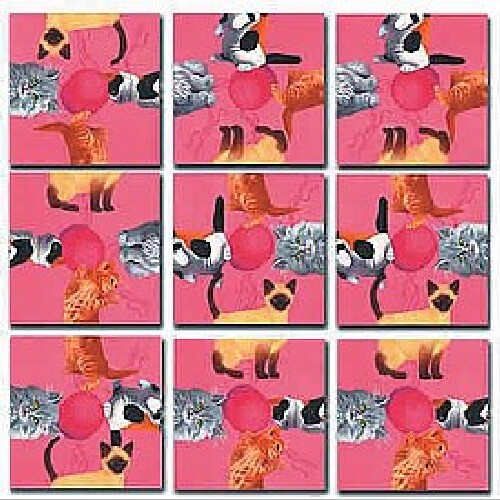 Puzzle 9 pièces Kittens B. Dazzle Scramble Squares - Photo 1/1