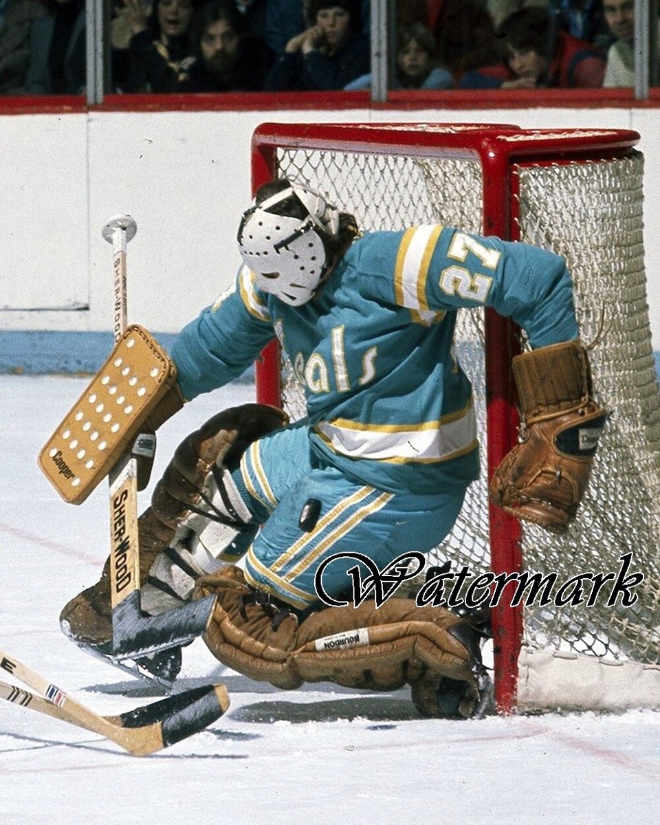 NHL California Golden Seals Goalie Gilles Meloche Game Action