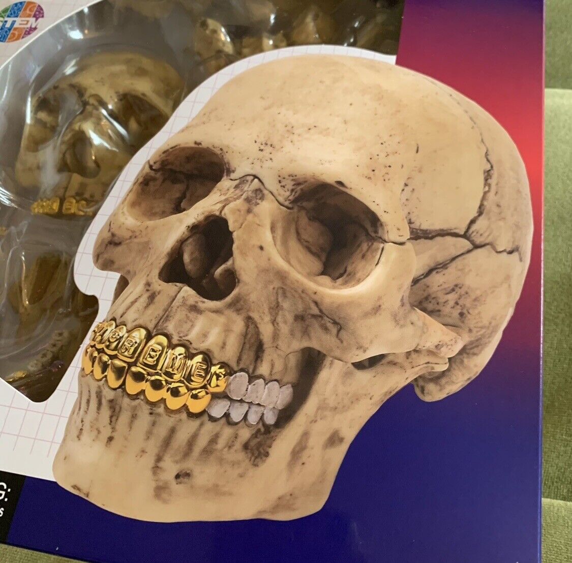 In-Hand Supreme 4D Model Human Skull Puzzle Model | eBay In-Hand Supreme 4D Model Human Skull Puzzle Model | eBay