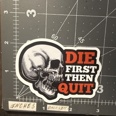 Die First Then Quit Adult Humor Sticker For Phone Guitar Toolbox Ect GL39