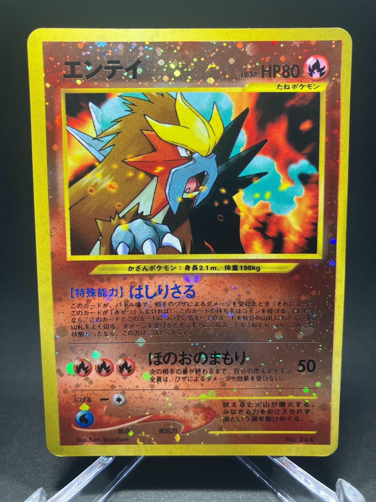 3 SET! Premium File Charizard, Entei & Pichu Japanese Pokemon Cards eBay