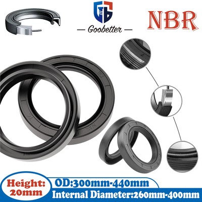 Skeleton Oil Seal Rings NBR TC/FB Double Seal for Rotation Shaft ID 260mm-400mm