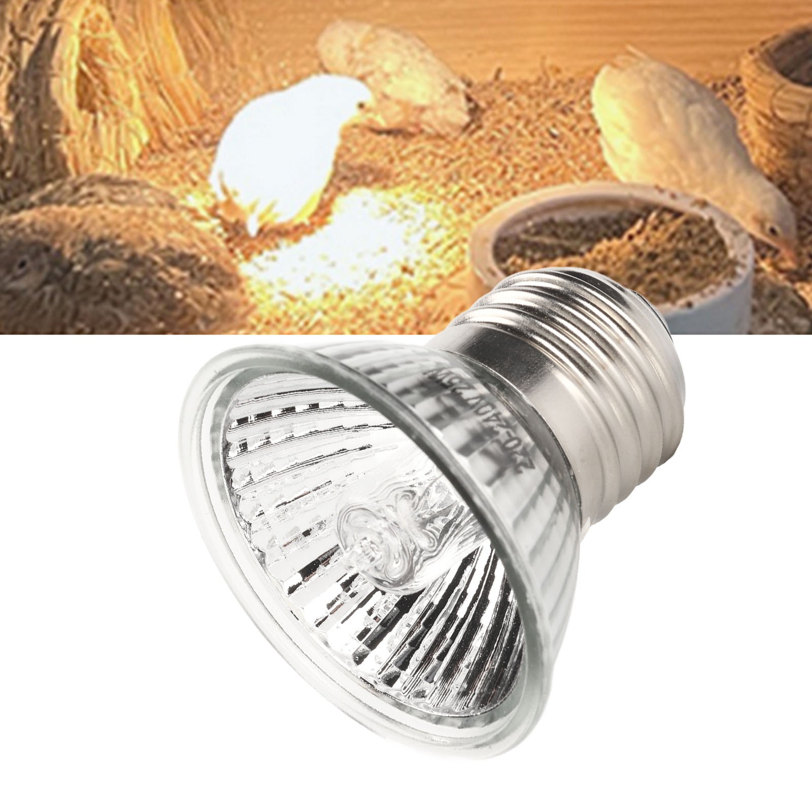 E27 Reptile Bulb High End Basking Heat Light For Snakes 220‑240V