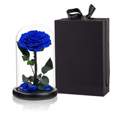 Preserved Roses Handmade Rose in Glass Dome, Preserved Flowers Never Withered...