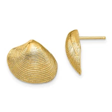 14k Yellow Gold Clam Shell Stud Earrings