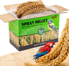 5LBS Spray Millet Treat for Pet Birds, Hand-Harvested Bird Snack, Natural Sun-Dr