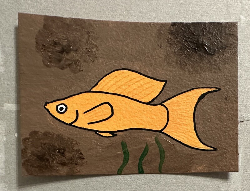 Original ACEO Art Card - Lyretail Molly Fish - 2.5 in x 3.5 in Acrylic Painting