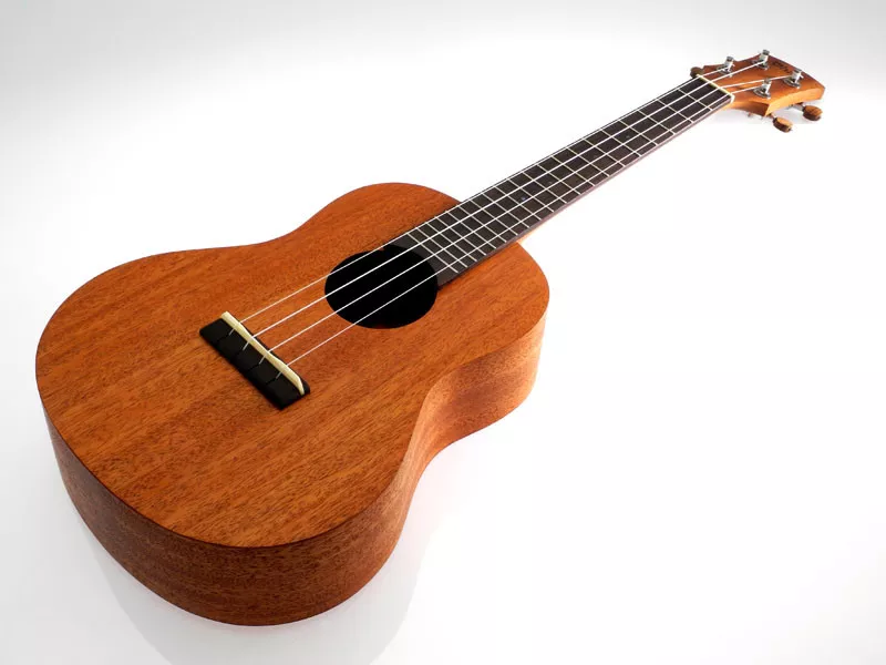 Ayers ULURU Mahogany Tenor Ukulele Solid Wood with Case