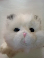 Little Live Pets White Persian Cat Cuddles My Dream Kitten Interactive Toy Works