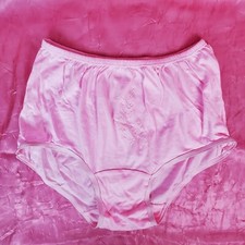 Vtg Embroidered Panties 100 Cotton Gusset Size 9 Sissy Granny Panty Brief NOS