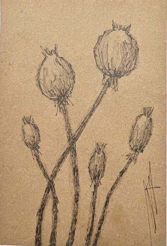 Poppy Pods Drawing 6” Poppy Head Art Botanical Sketch French Country Decor - Picture 8 of 11