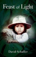 Feast Of Light | David Schaffer | Buch | Englisch | 2024 | Outskirts Press