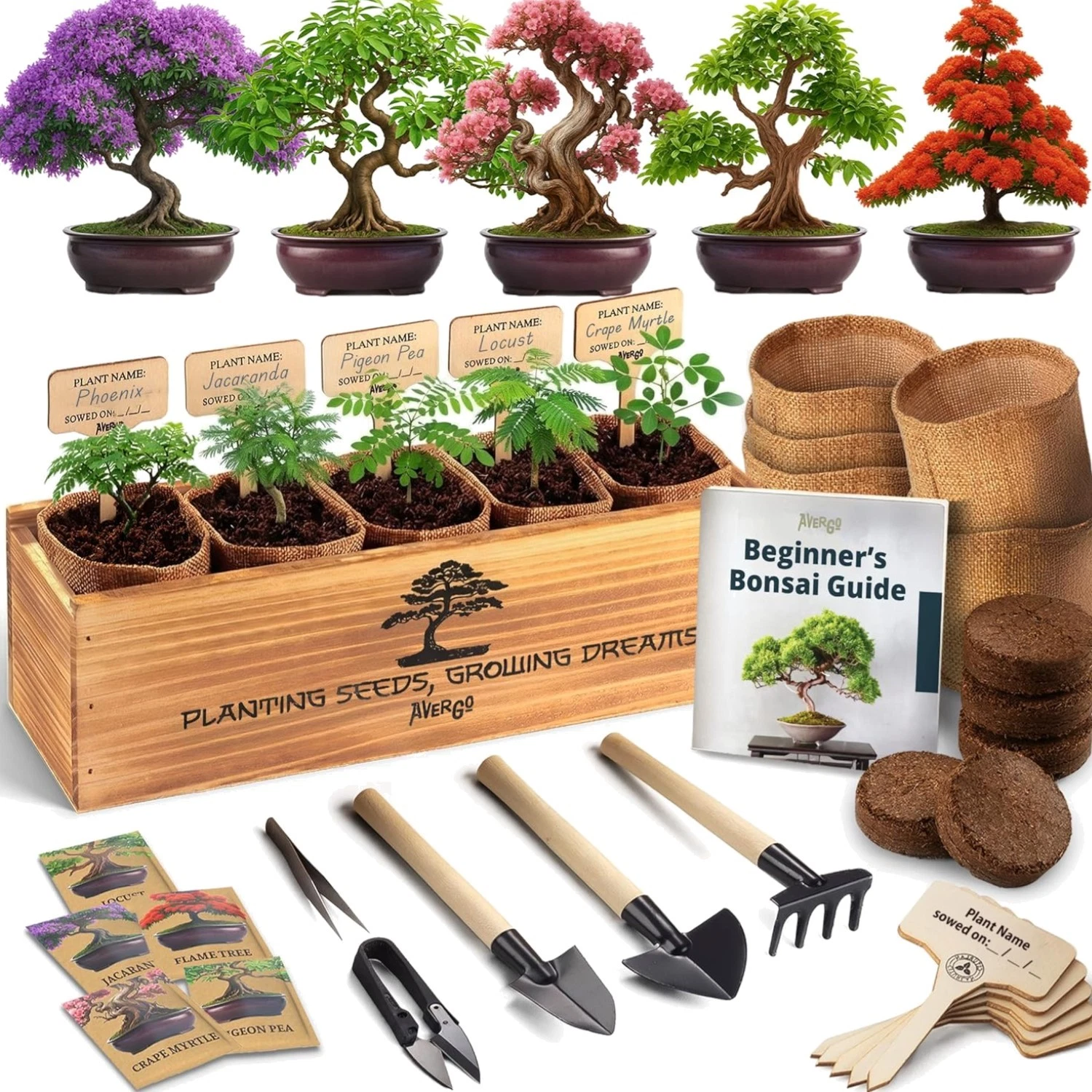 Bonsai Tree Kit for Beginners – 5X Unique Japanese Bonzai Trees | Complete In...