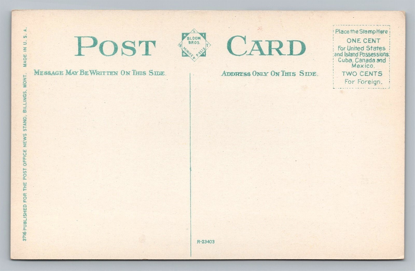 Billings Montana MT City Hall Old Vintage Postcard View 1910s Bloom Bros