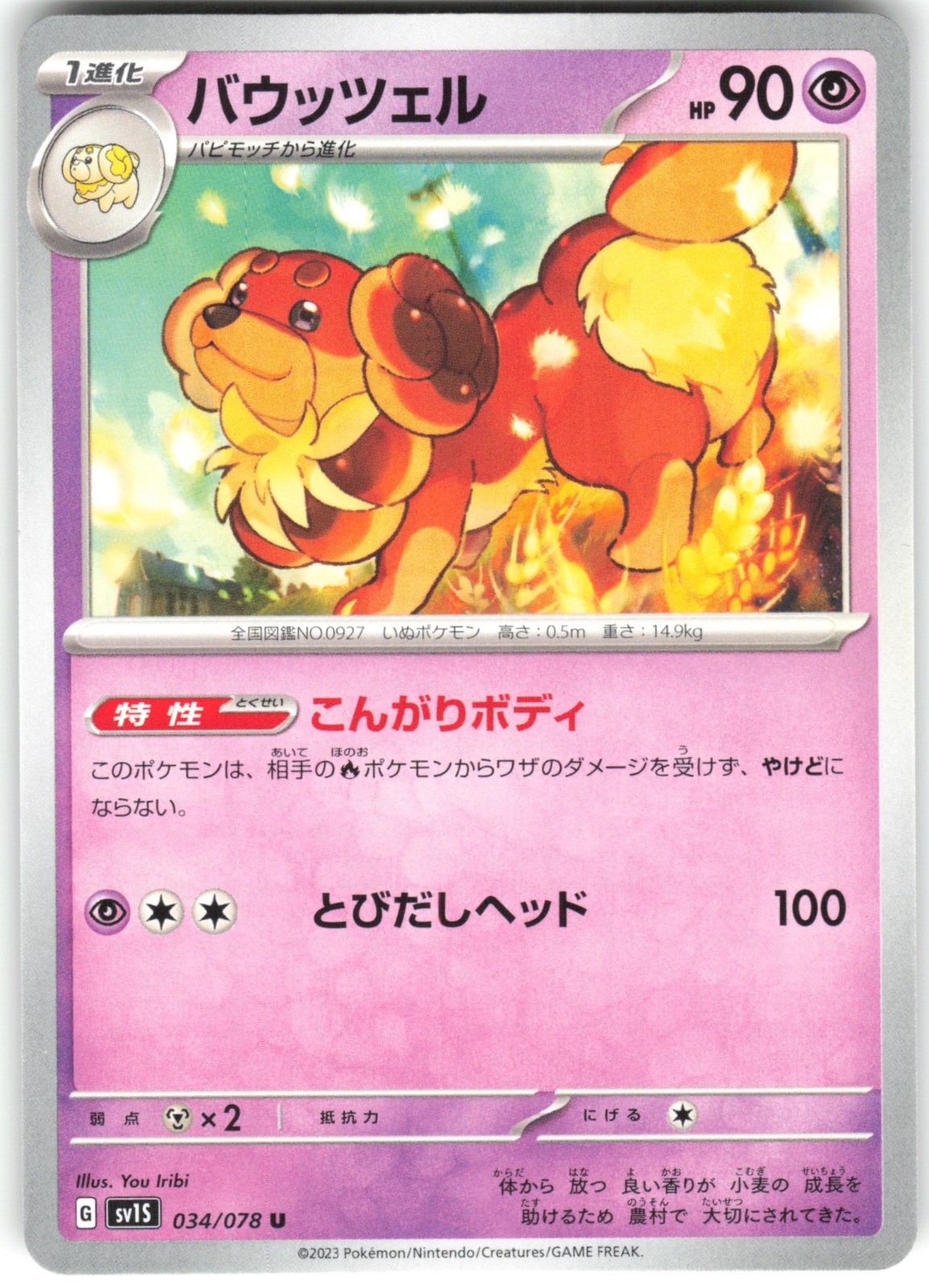 Dachsbun 034/078 SV1S: Scarlet ex Uncommon Pokemon Card NM