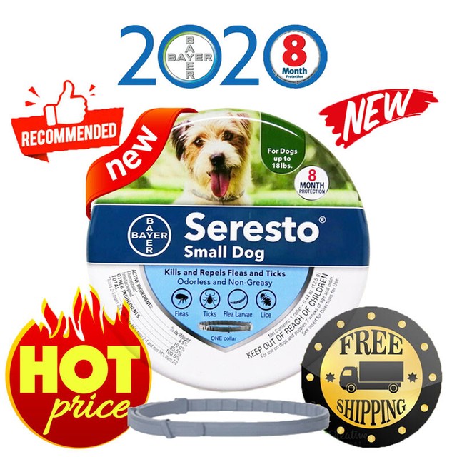 dog still has fleas with seresto collar