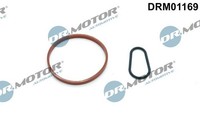 Dr.Motor Automotive DRM01169 Dichtungssatz, Unterdruckpumpe FüR CitroËN DS