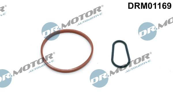 Dr.Motor Automotive DRM01169 Dichtungssatz, Unterdruckpumpe FüR CitroËN DS-image