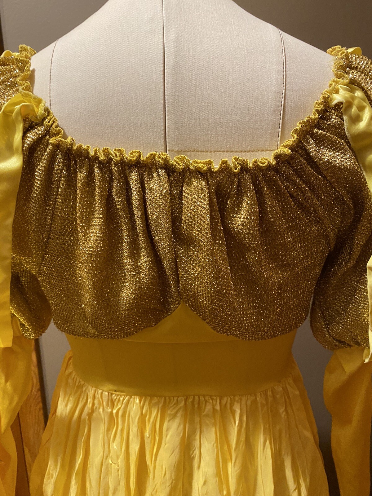 Beauty and the Beast Halloween Costume - image 6