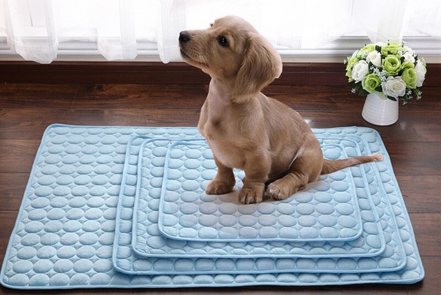 gel dog mat