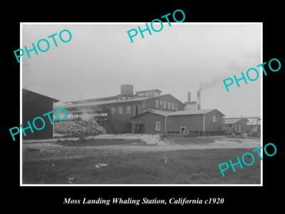 OLD 8x6 HISTORIC PHOTO OF MOSS LANDING CALIFORNIA THE WHALING STATION c1920 1