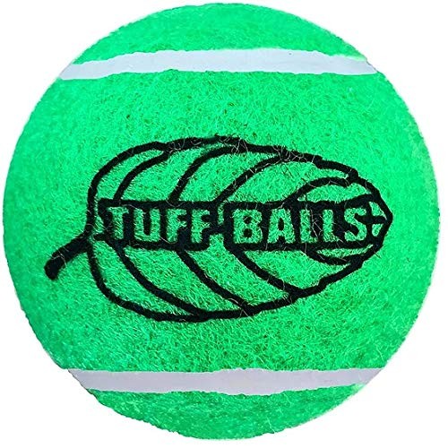 PetSport Jr. Mint Tuff Ball Dog Toy